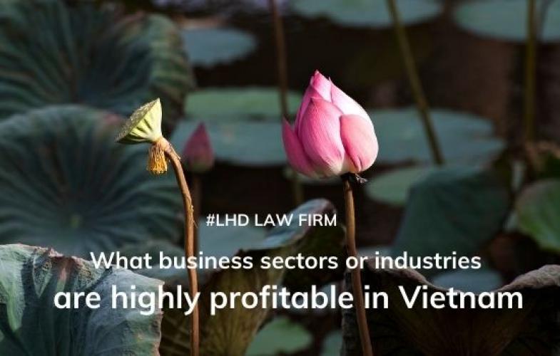 What business sectors or industries are highly profitable in Vietnam 2022